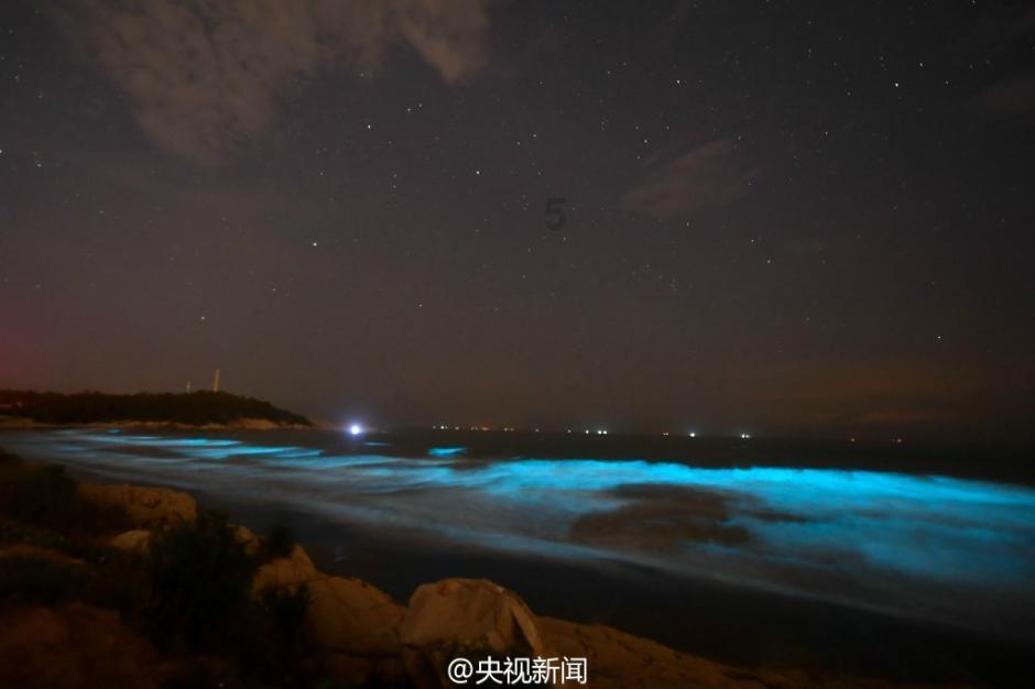花饽饽飘香迎新春