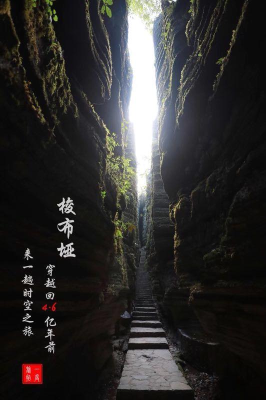 黄球大冒险无敌版