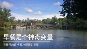 逃离阴暗的房屋