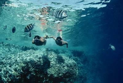 电机测试冷热一体机，温度、流量检测